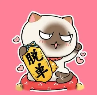 用户头像 晚八点档